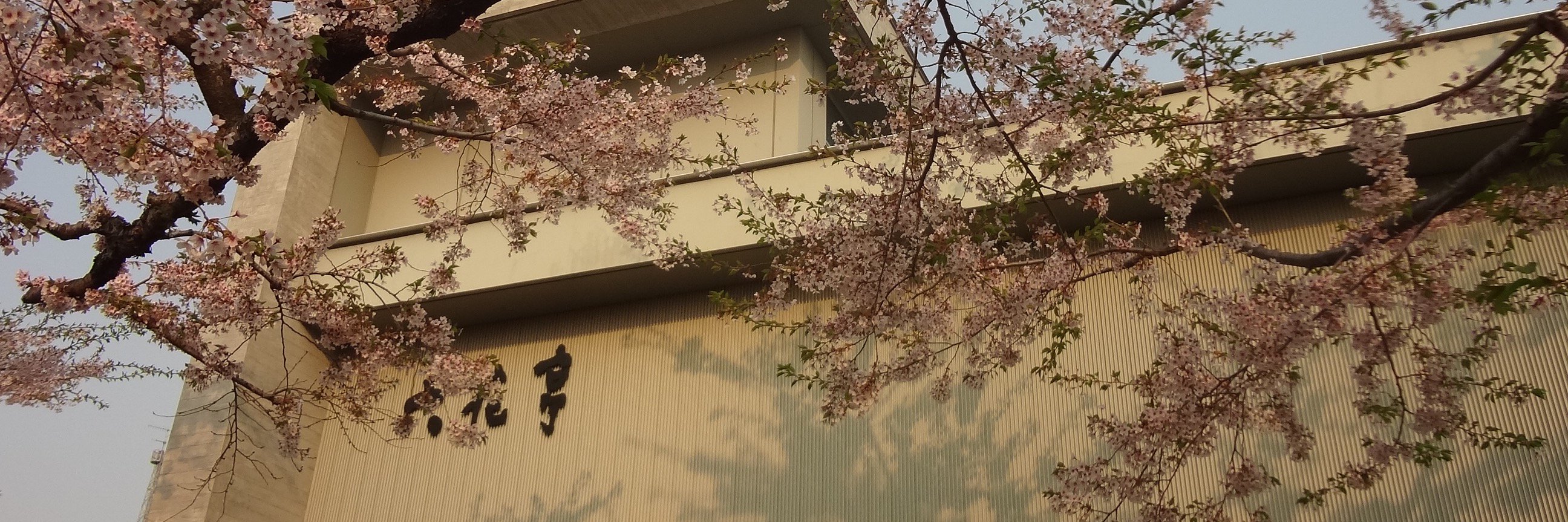 arukuma15's profile banner image
