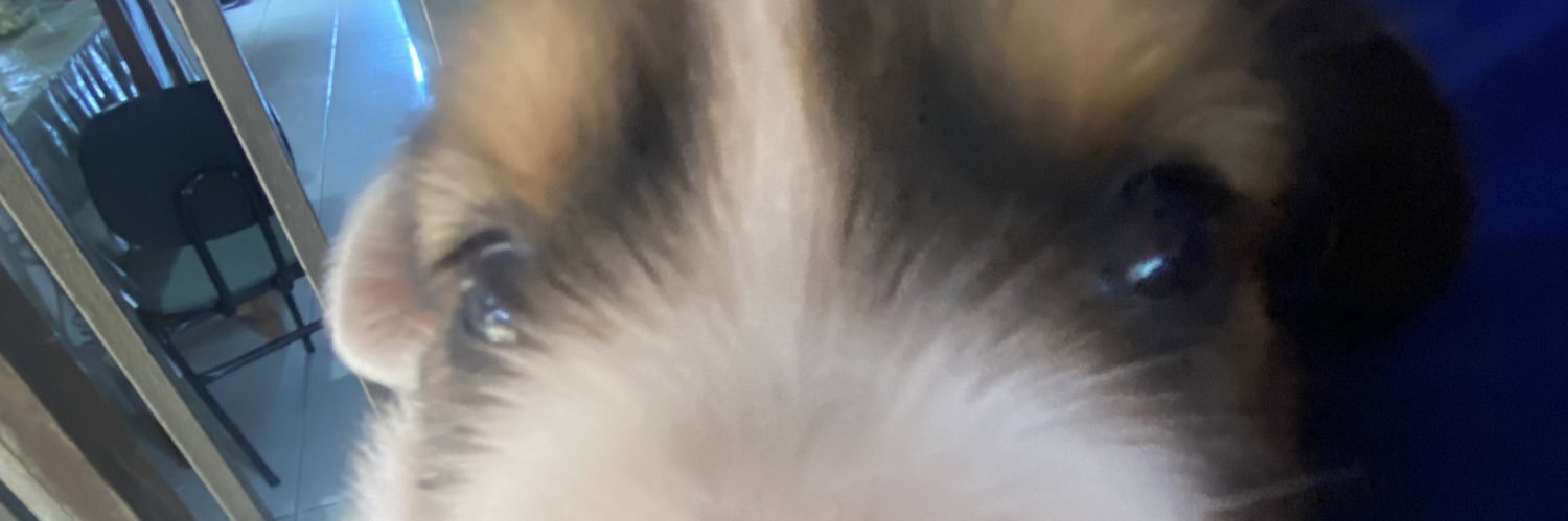 quezzzzia's profile banner image
