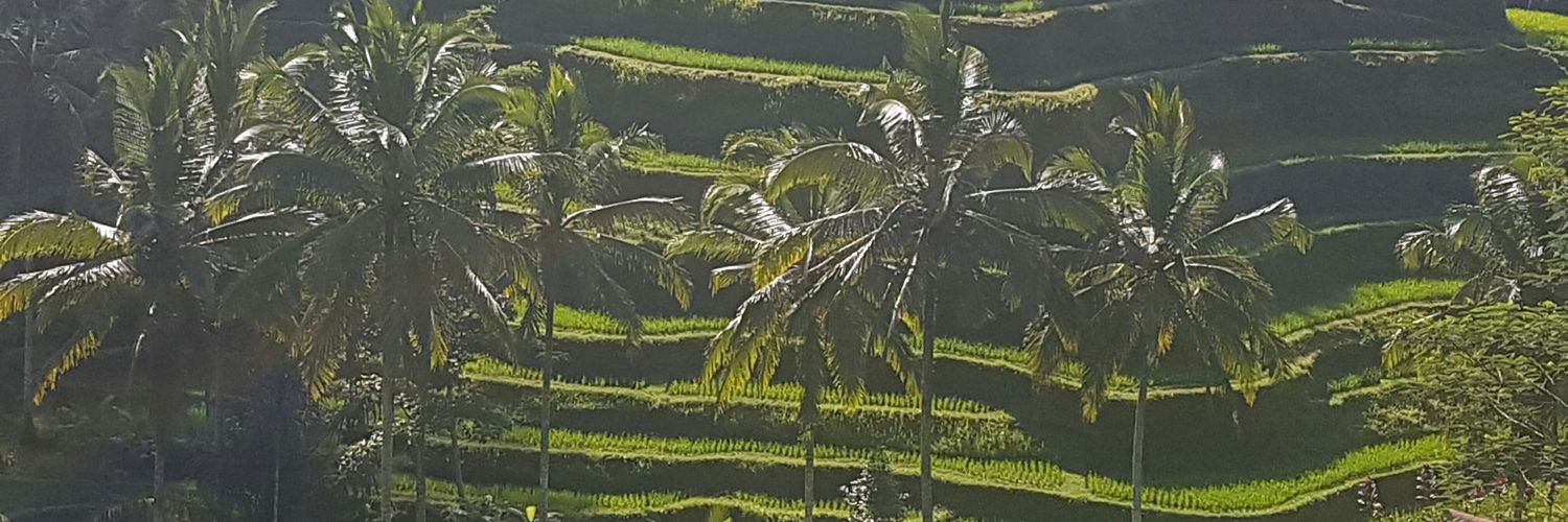 albertokok's profile banner image