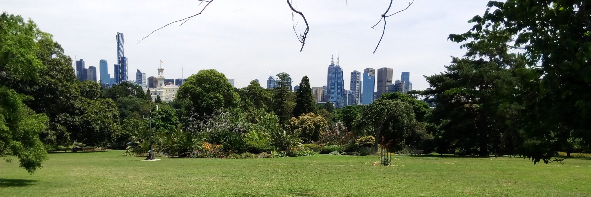 Anna Molas Closas banner