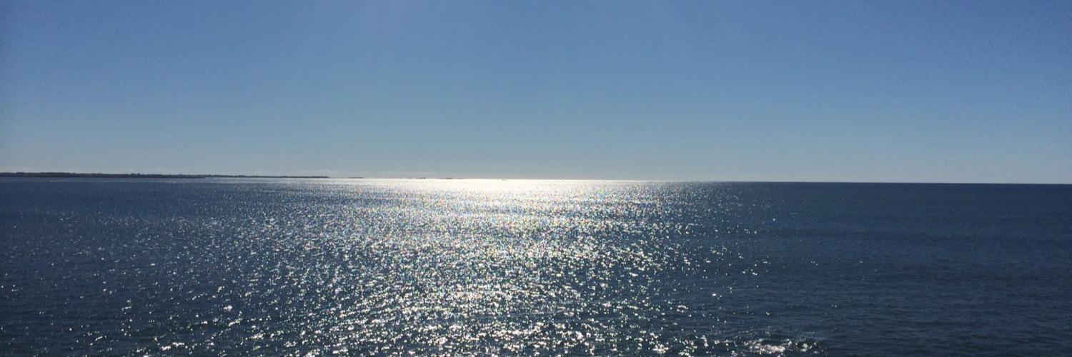 dansimmonite's profile banner image