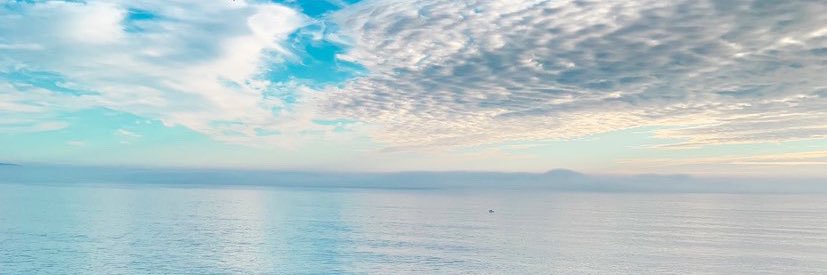 BLISS banner