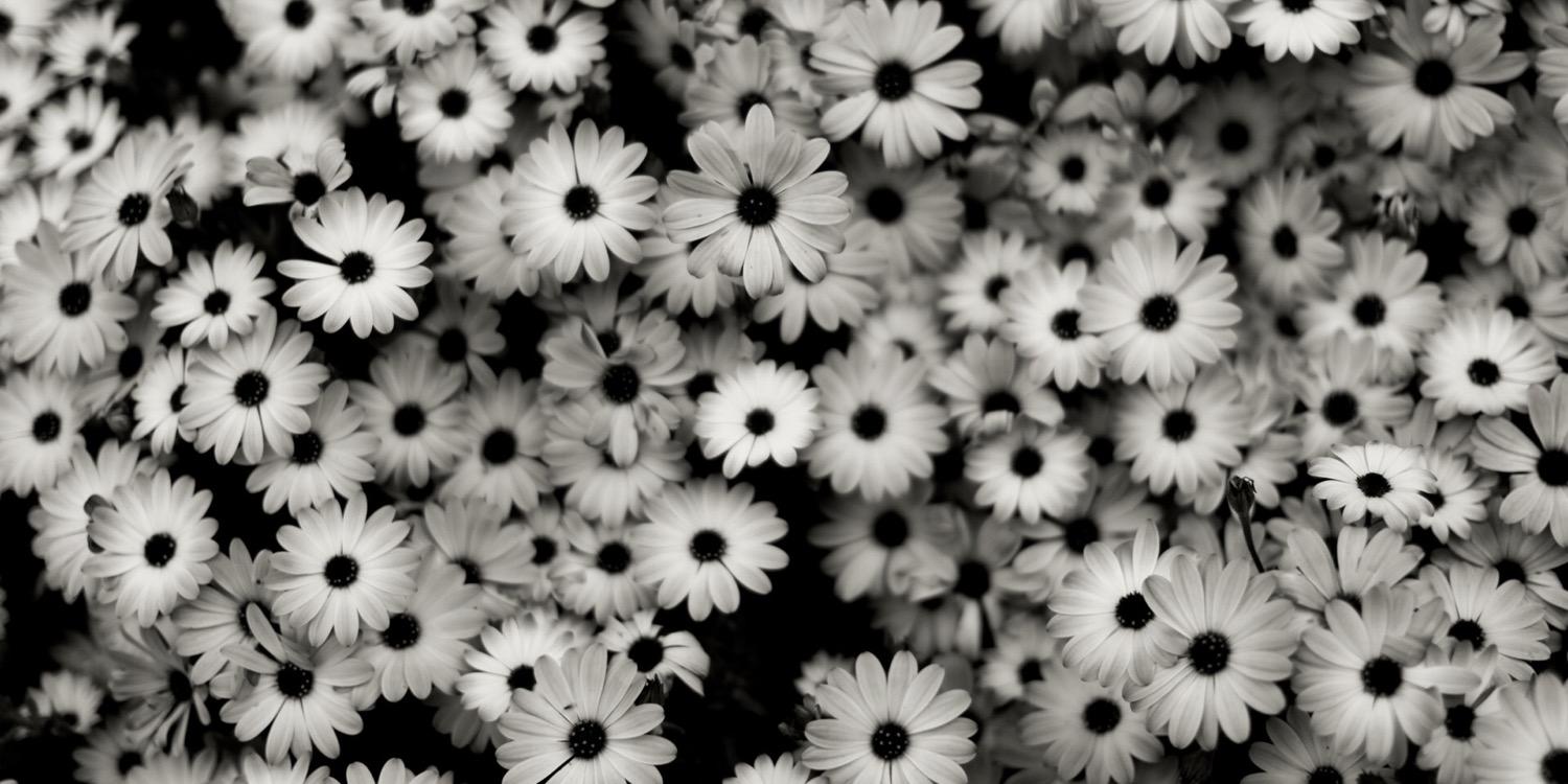 AnaIntentions's profile banner image
