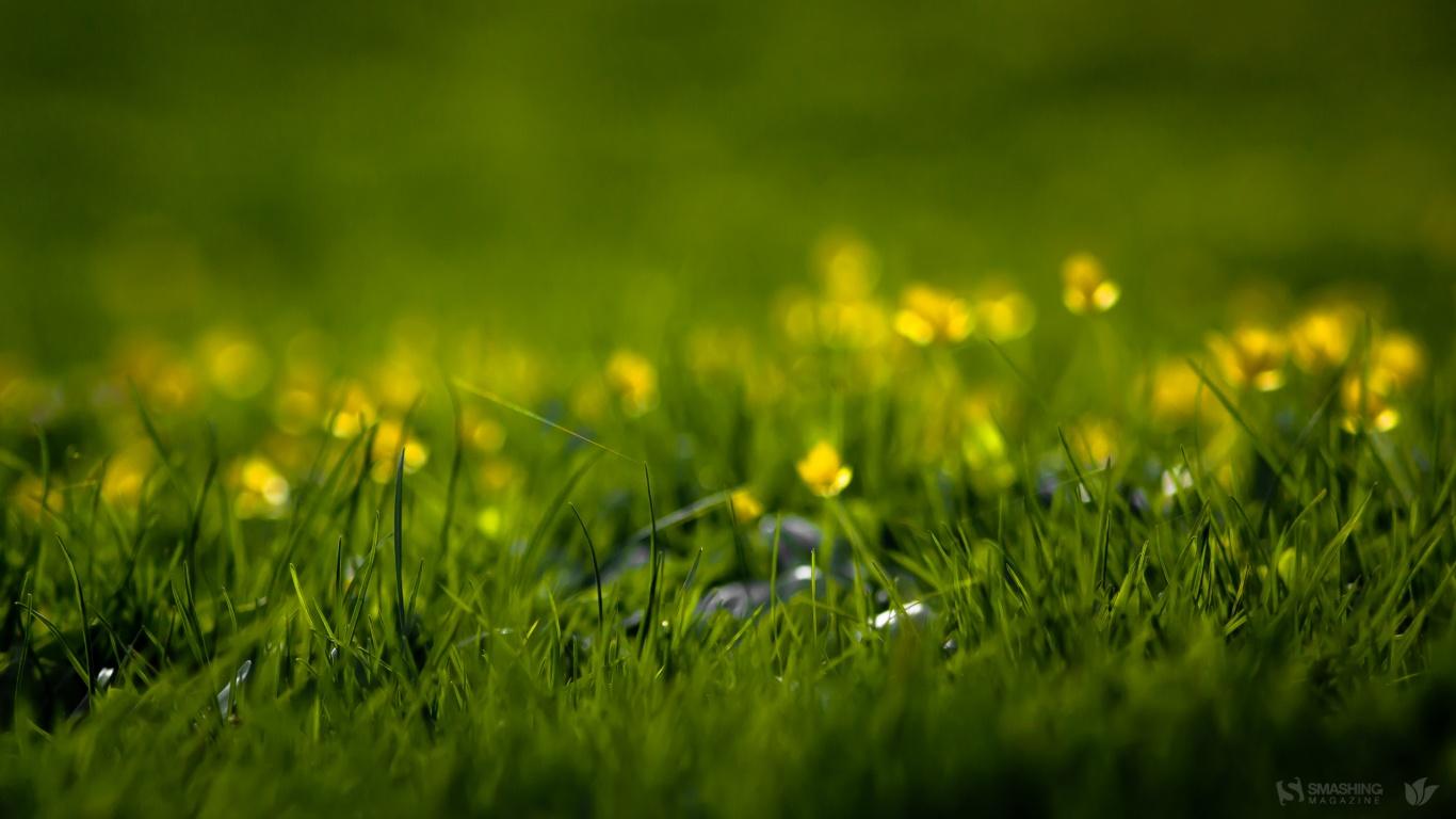 97Reber's profile banner image