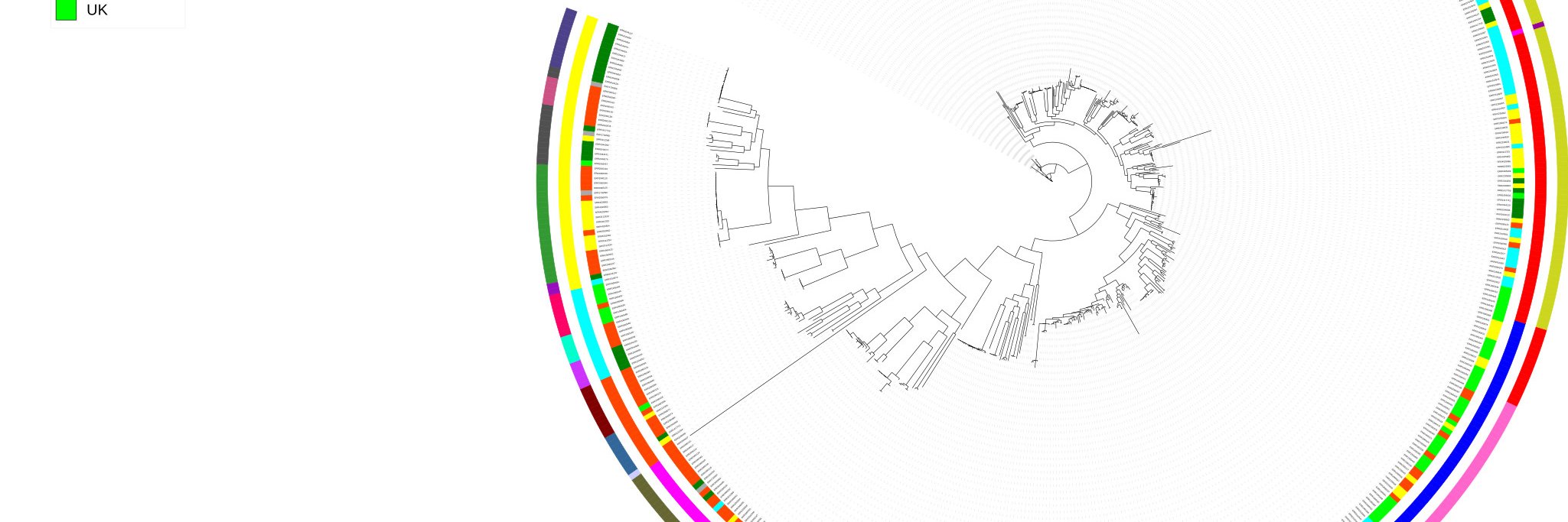 Sébastien Matamoros banner