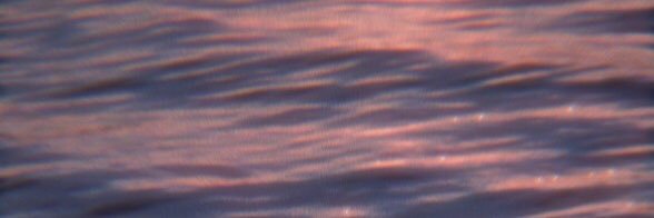johnnycampo_'s profile banner image