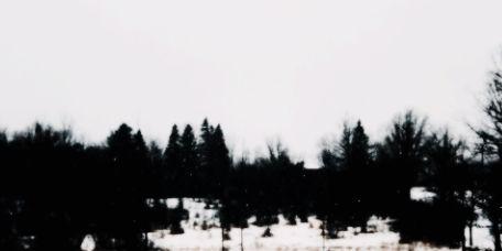 nicorpgdtr's profile banner image