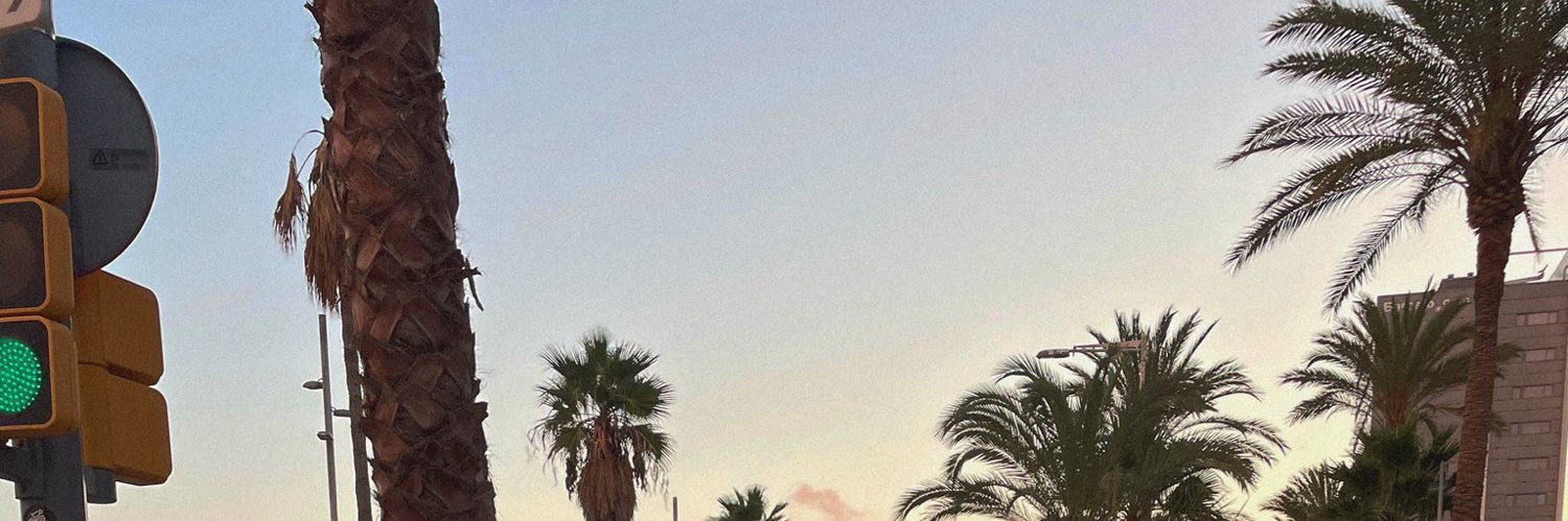 inesmchh's profile banner image