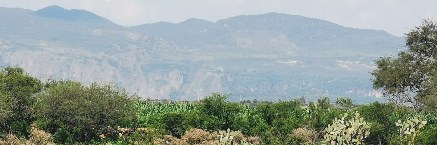 PedroVigil80's profile banner image