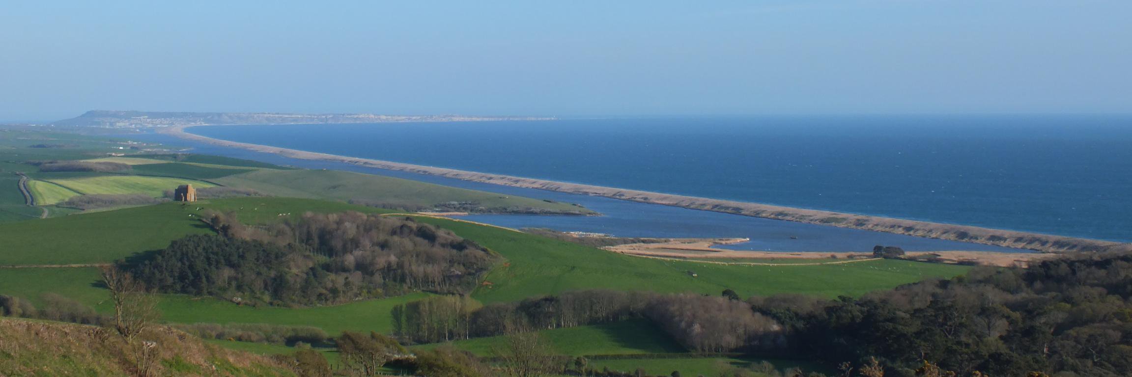 Vicky banner
