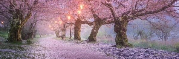 apocrypthe's profile banner image