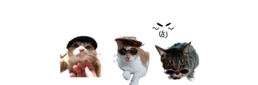 anna ⚞^. .^⚟ banner