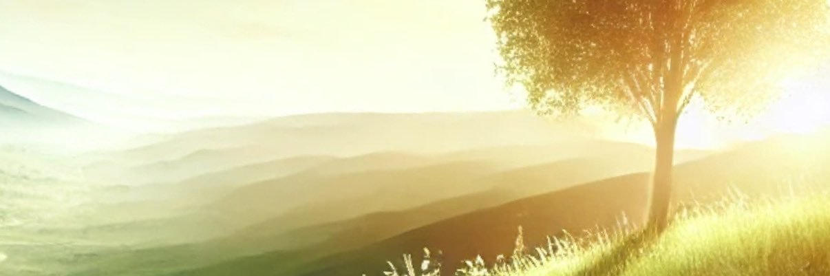Lucy Challenger banner