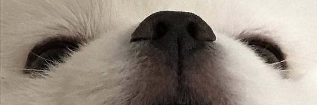 uyupuddin's profile banner image