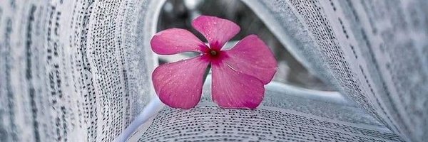 LespagesdeJade Profile Banner