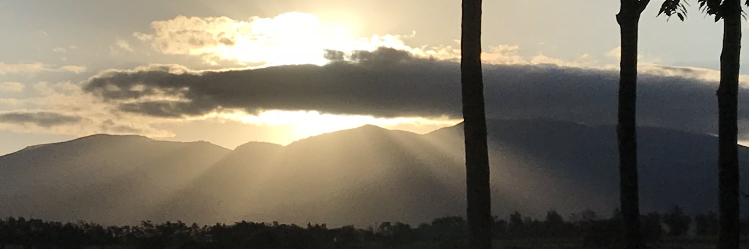 VictorMichaudd's profile banner image