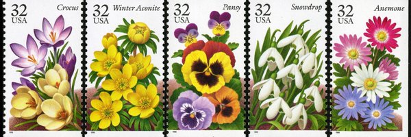 assert_h Profile Banner