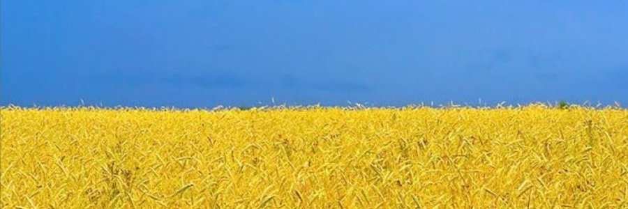 GKarinG's profile banner image