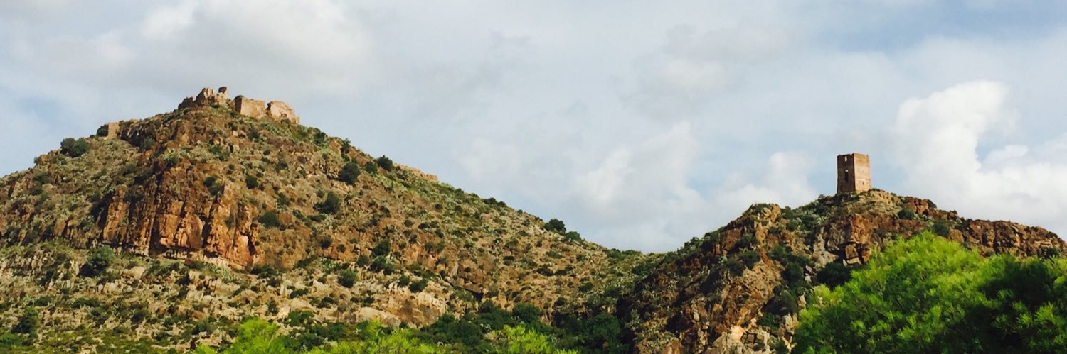 Carme Sendra / 🐾❤️ banner