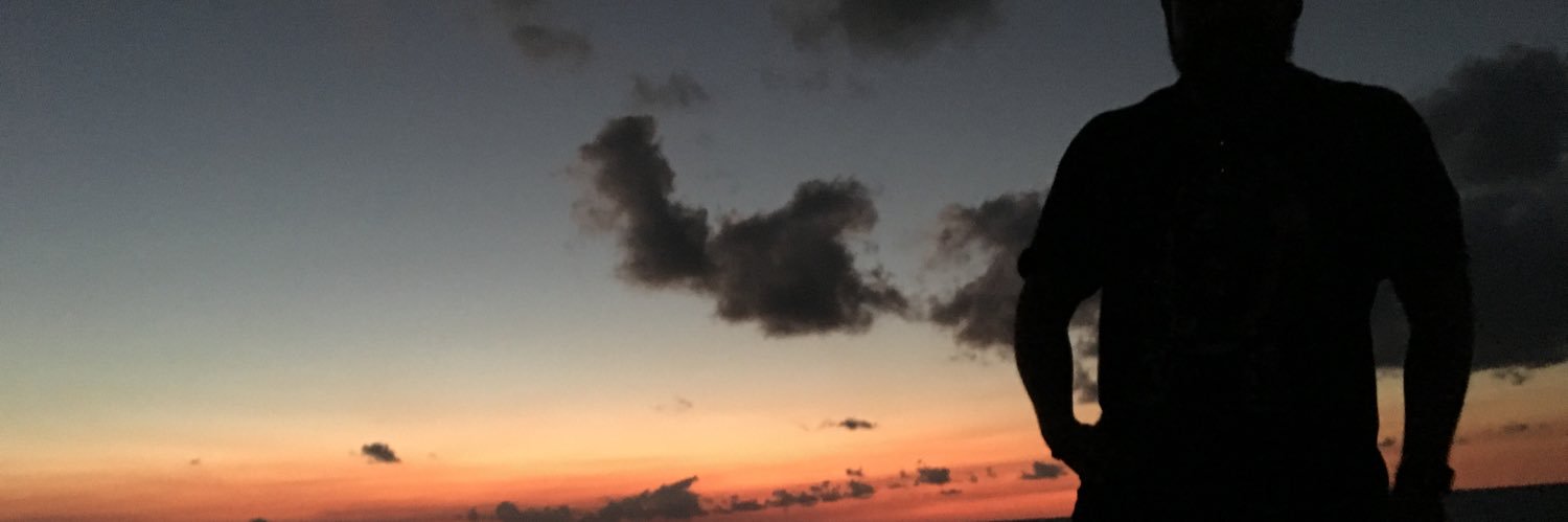 dartcochfigue's profile banner image