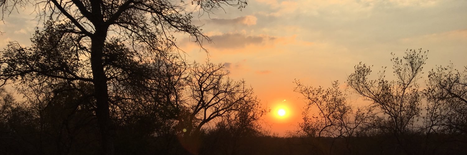 lukepettenon's profile banner image