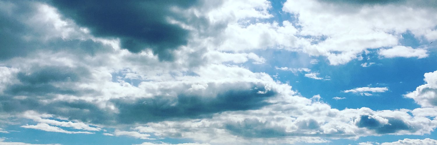 Michelle_Jaffee's profile banner image