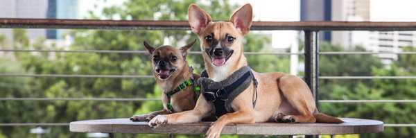 xSouder Profile Banner