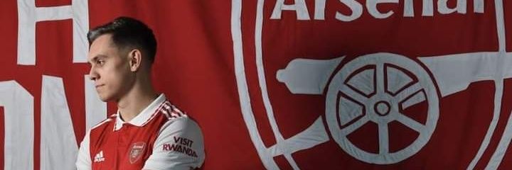 Siteal banner