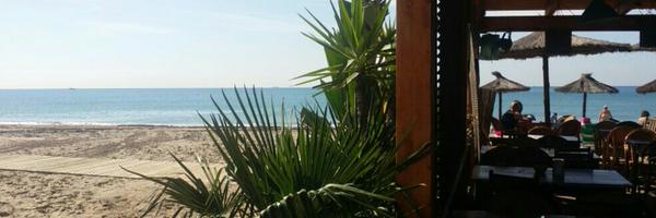 CalamarPrat Profile Banner