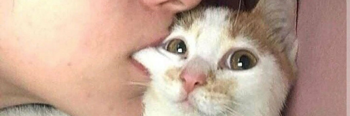🍞 banner