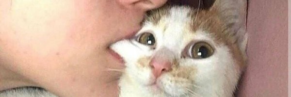 haloals Profile Banner