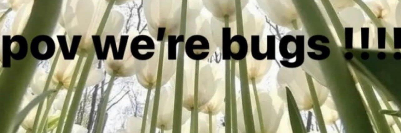 BigShoesPlease's profile banner image