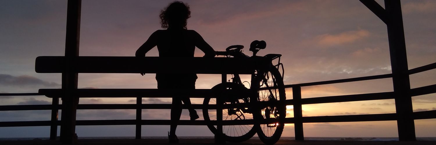 ericabulosa's profile banner image