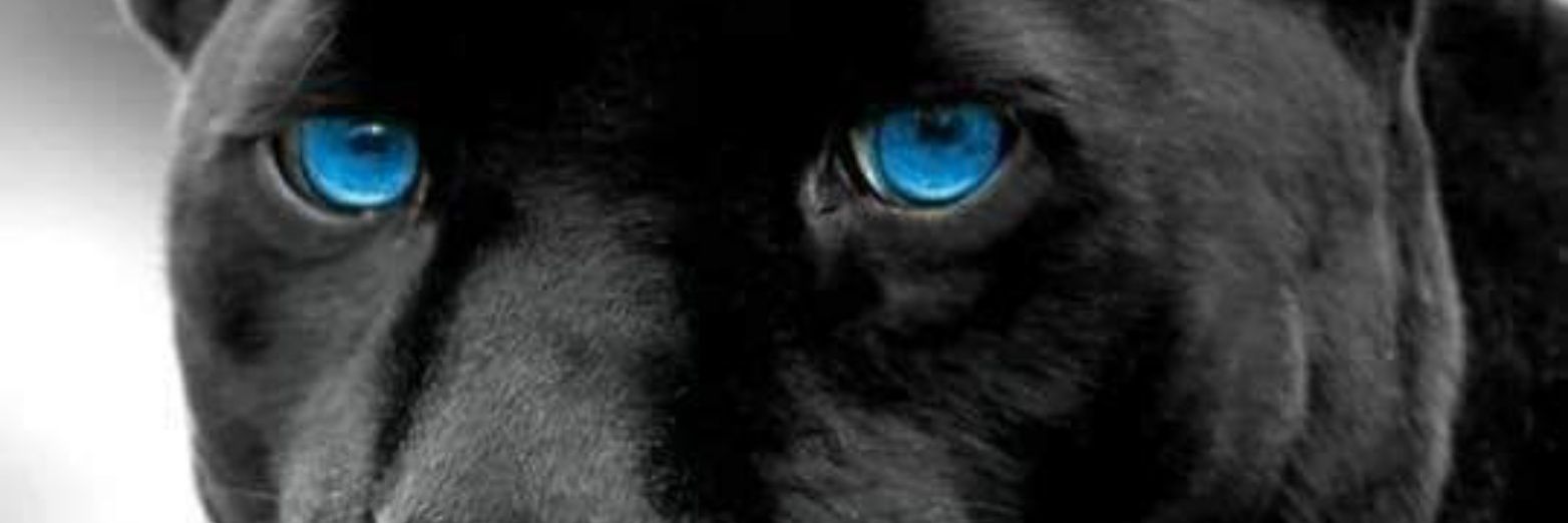 pHfactors's profile banner image