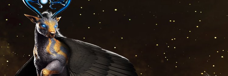 Stiandoc's profile banner image