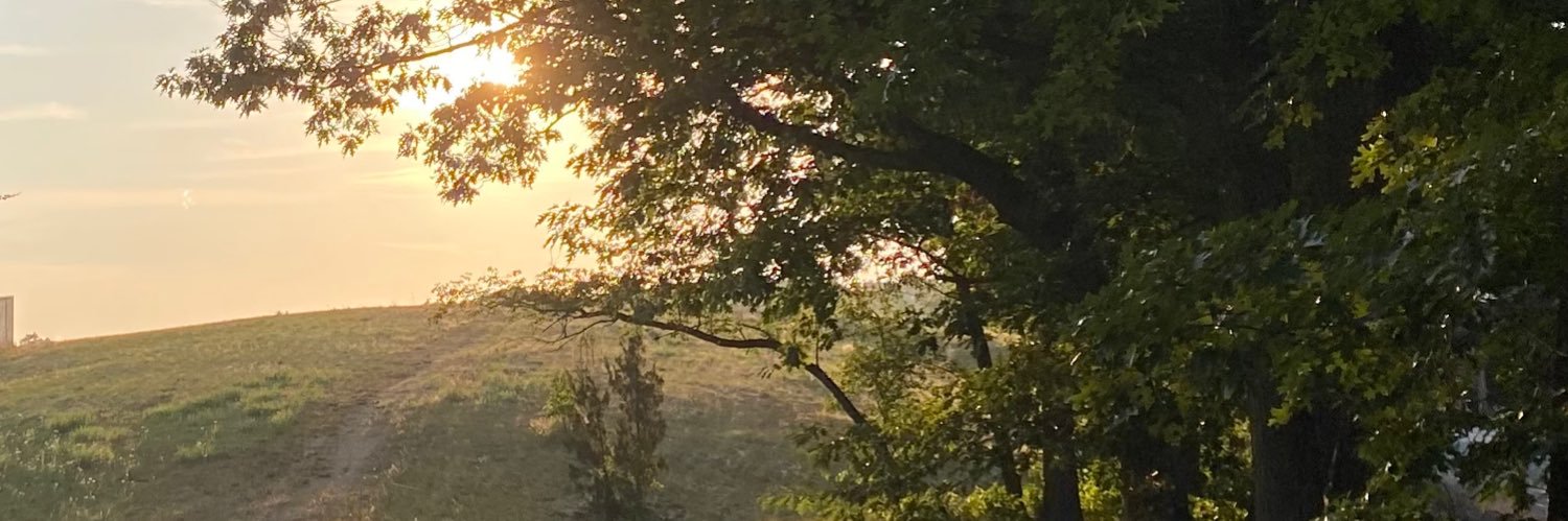 lappleby3's profile banner image