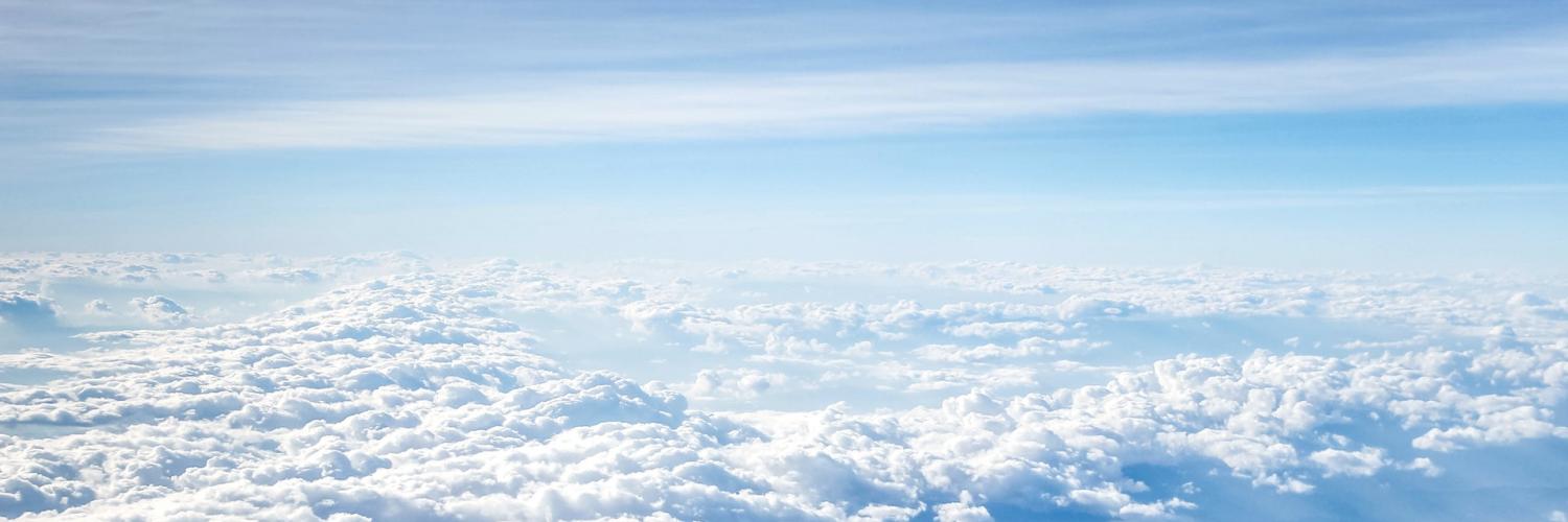 Lynn | Settiai banner