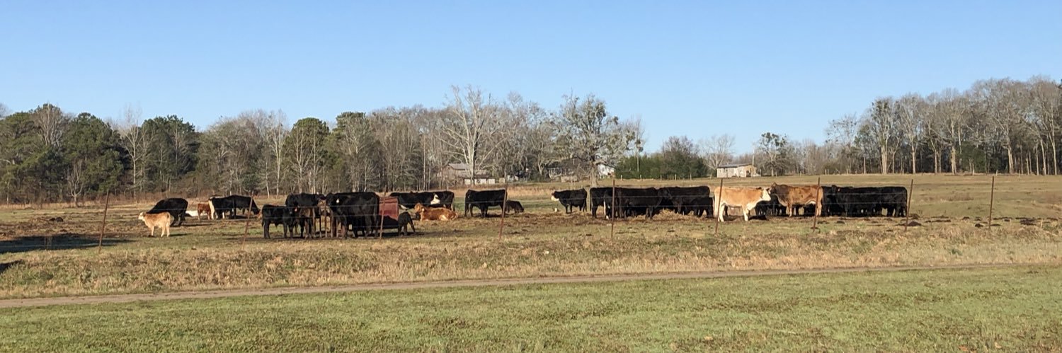 Ritajosm's profile banner image