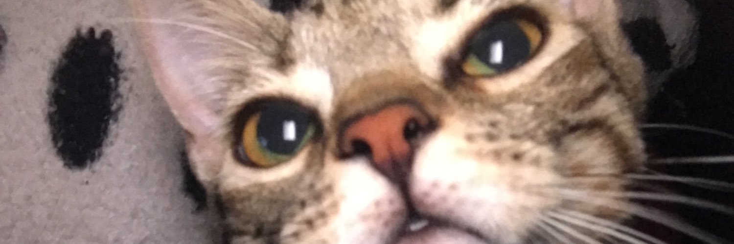 abril971_'s profile banner image