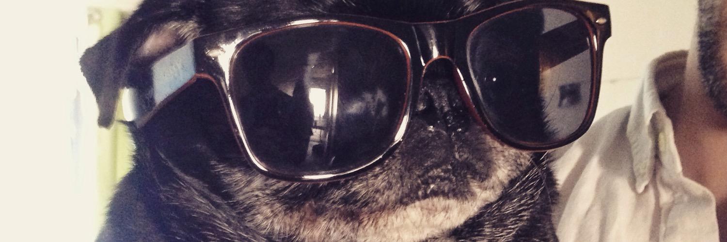 PugLoverCharles's profile banner image