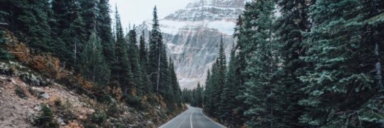 brooke_tylor's profile banner image
