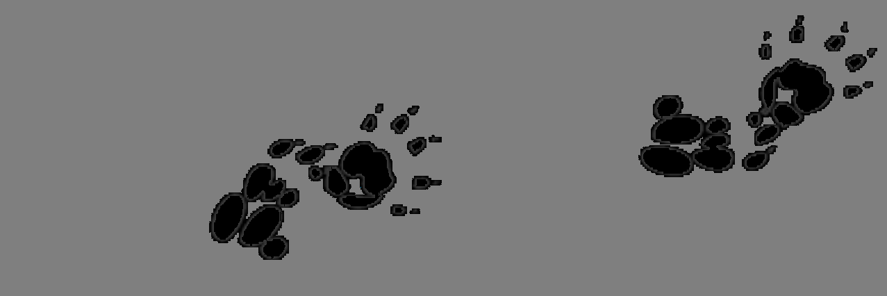 AWMS2015's profile banner image