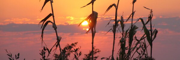 ASHursthouse Profile Banner