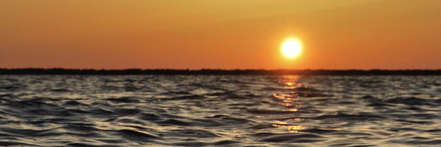 Alena Davis 😍 banner