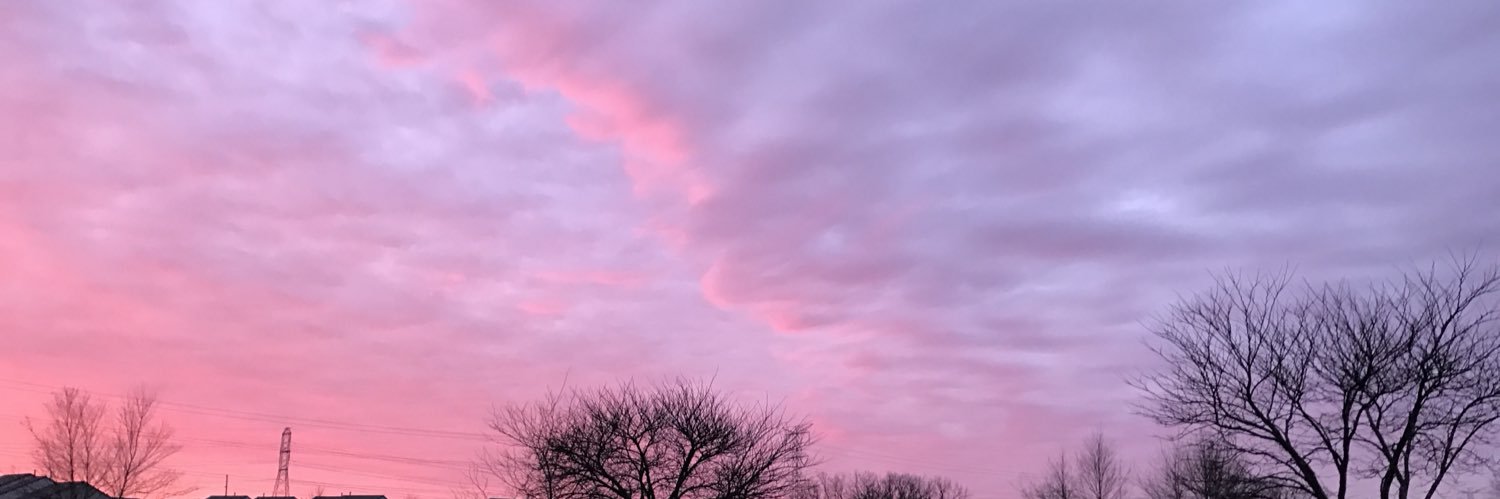 rennlor's profile banner image