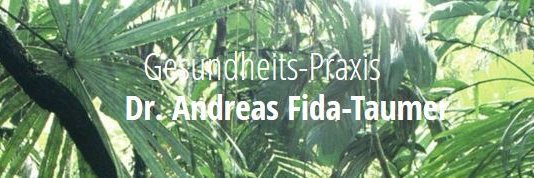 fida_taumer's profile banner image