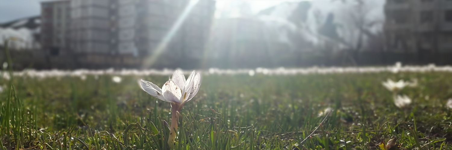 CetinSuphi's profile banner image