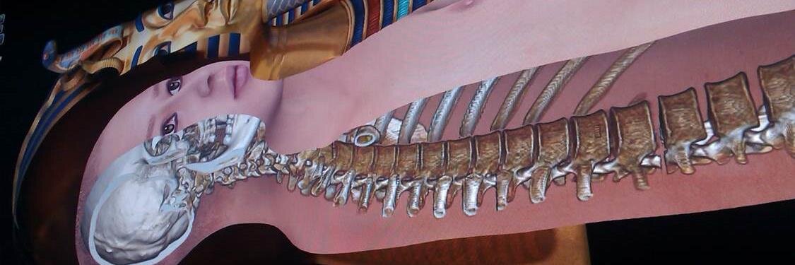 Prof Anna Williams banner