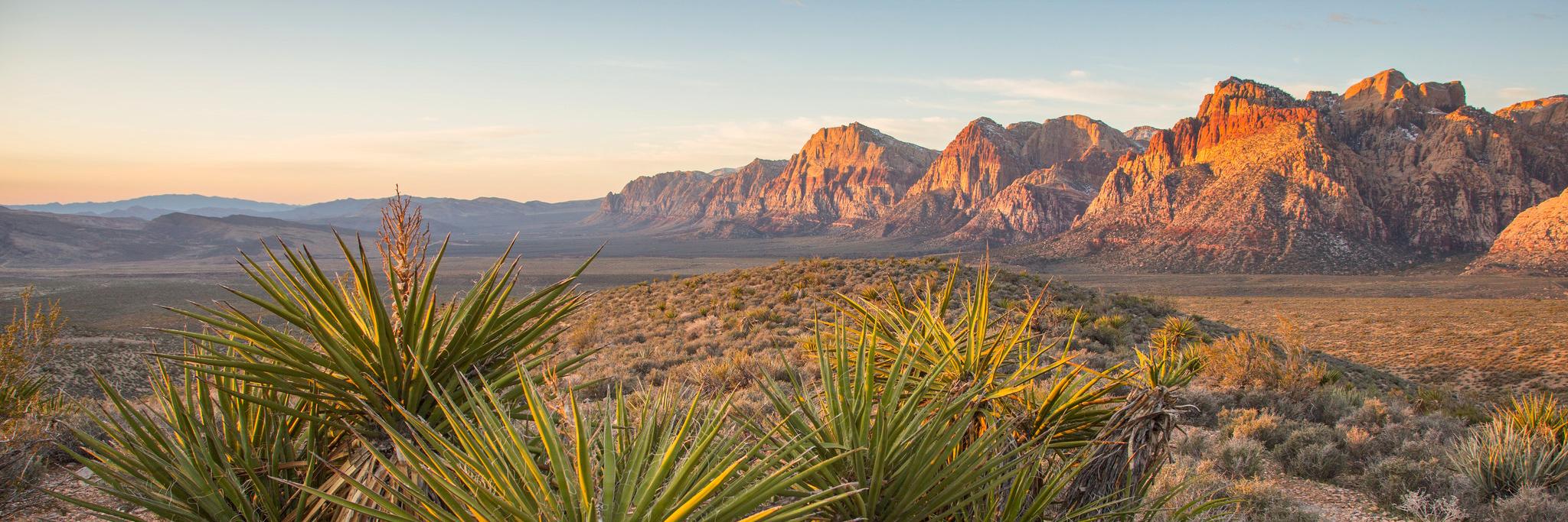 The Nature Conservancy in Nevada banner