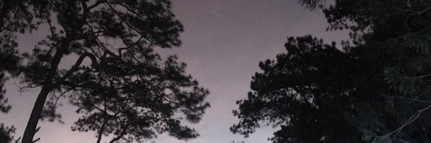 carrissmatic's profile banner image